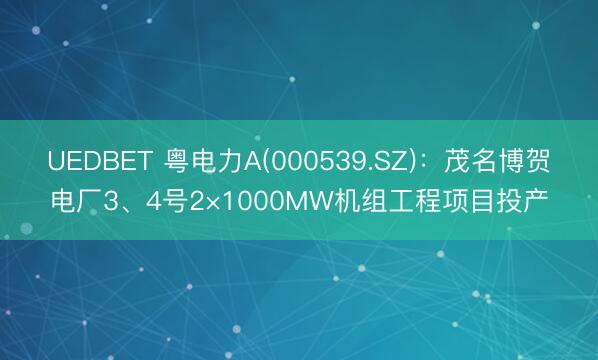 UEDBET 粤电力A(000539.SZ)：茂名博贺电厂3、4号2×1000MW机组工程项目投产