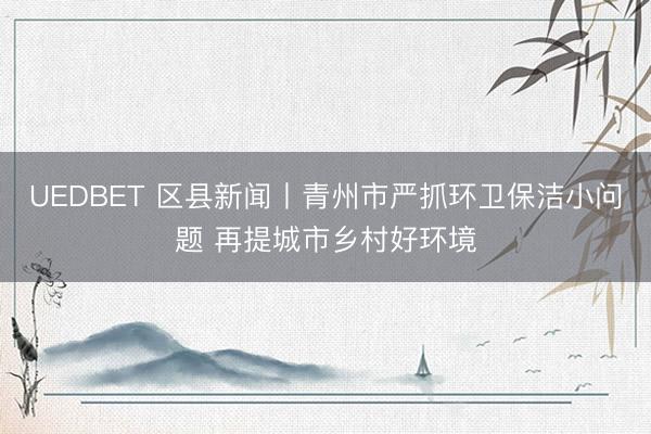 UEDBET 区县新闻丨青州市严抓环卫保洁小问题 再提城市乡村好环境