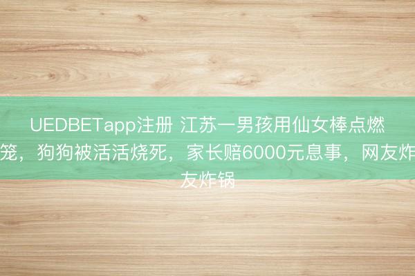 UEDBETapp注册 江苏一男孩用仙女棒点燃狗笼，狗狗被活活烧死，家长赔6000元息事，网友炸锅