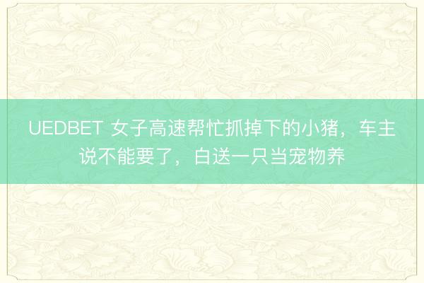 UEDBET 女子高速帮忙抓掉下的小猪,车主说不能要了,白送一只当宠物养