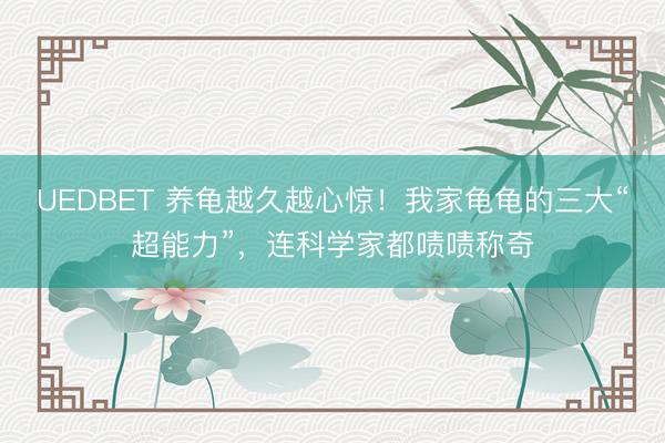UEDBET 养龟越久越心惊！我家龟龟的三大“超能力”，连科学家都啧啧称奇