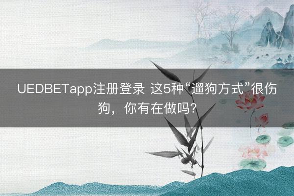 UEDBETapp注册登录 这5种“遛狗方式”很伤狗，你有在做吗？
