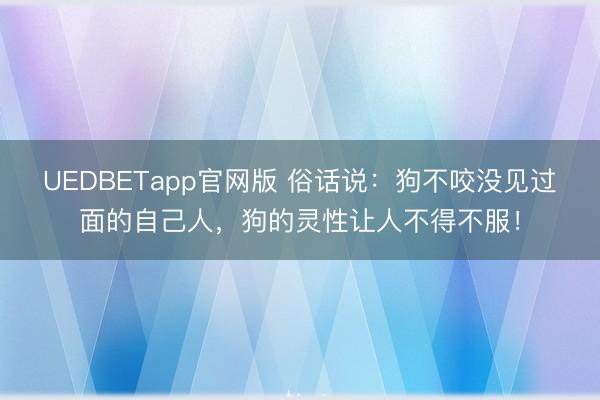 UEDBETapp官网版 俗话说:狗不咬没见过面的自己人,狗的灵性让人不得不服!