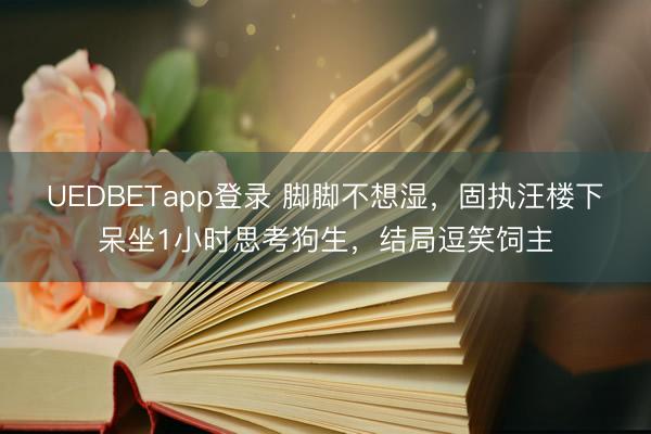 UEDBETapp登录 脚脚不想湿,固执汪楼下呆坐1小时思考狗生,结局逗笑饲主