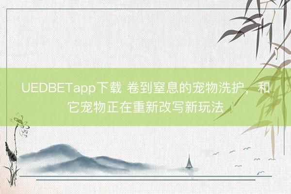 UEDBETapp下载 卷到窒息的宠物洗护，<a href=