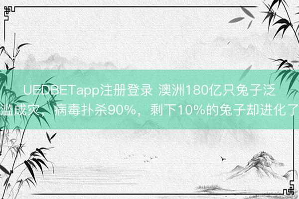 UEDBETapp注册登录 澳洲180亿只兔子泛滥成灾，病毒扑杀90%，剩下10%的兔子却进化了