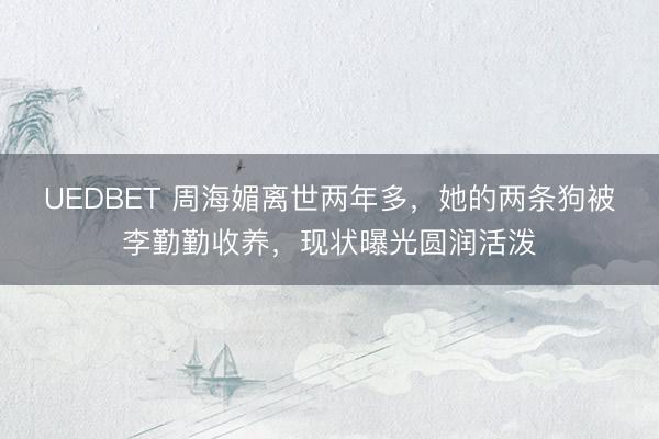UEDBET 周海媚离世两年多，她的两条狗被李勤勤收养，现状曝光圆润活泼