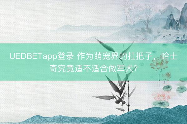 UEDBETapp登录 作为萌宠界的扛把子，哈士奇究竟适不适合做军犬？