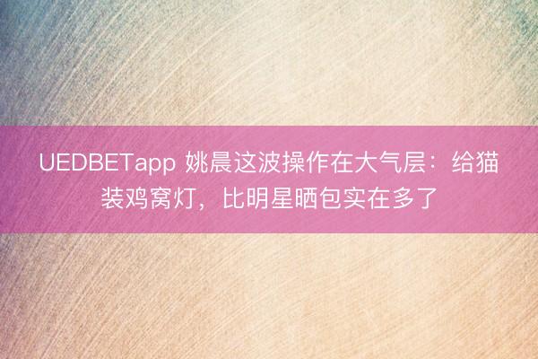 UEDBETapp 姚晨这波操作在大气层：给猫装鸡窝灯，比明星晒包实在多了