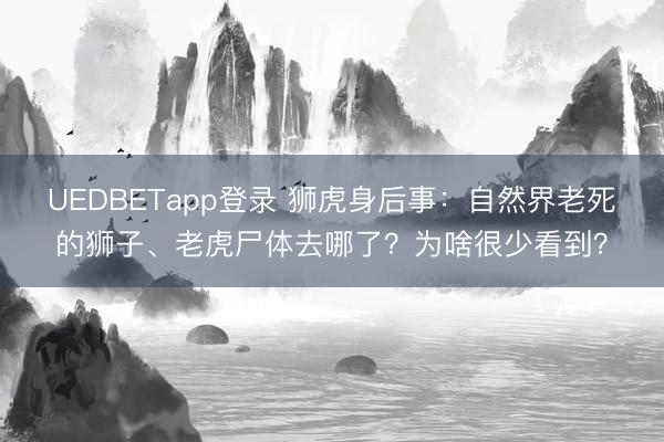 UEDBETapp登录 狮虎身后事：自然界老死的狮子、老虎尸体去哪了？为啥很少看到？