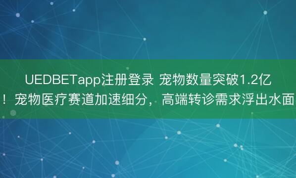 UEDBETapp注册登录 宠物数量突破1.2亿！宠物医疗赛道加速细分，高端转诊需求浮出水面