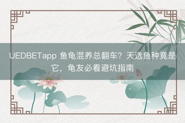 UEDBETapp 鱼龟混养总翻车？天选鱼种竟是它，龟友必看避坑指南