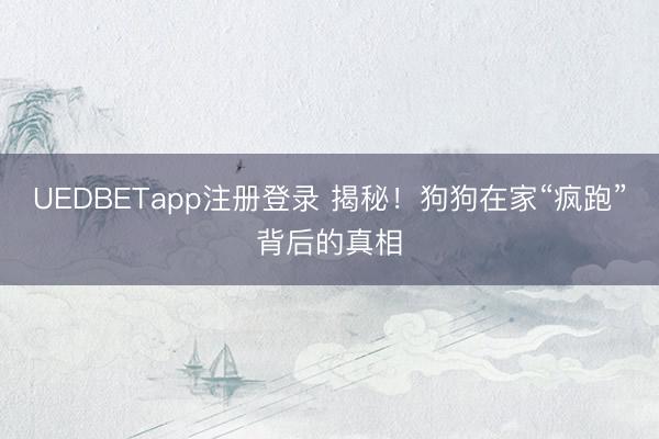 UEDBETapp注册登录 揭秘！狗狗在家“疯跑”背后的真相