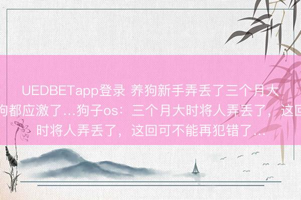 UEDBETapp登录 养狗新手弄丢了三个月大边牧，找回后人和狗都应激了…狗子os：三个月大时将人弄丢了，这回可不能再犯错了…