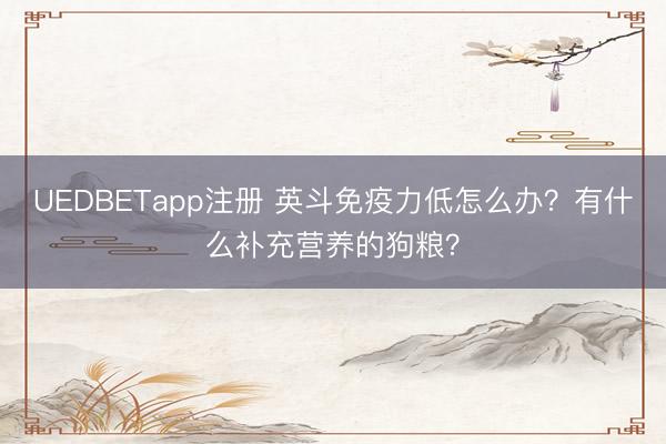 UEDBETapp注册 英斗免疫力低怎么办？有什么补充营养的狗粮？