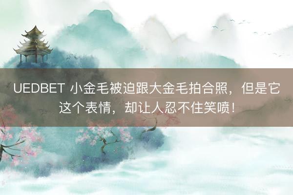 UEDBET 小金毛被迫跟大金毛拍合照,但是它这个表情,却让人忍不住笑喷!