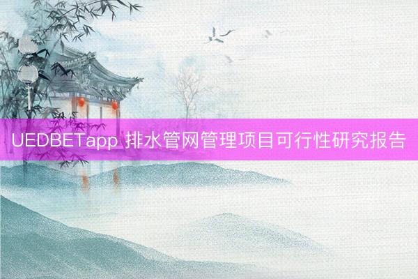 UEDBETapp 排水管网管理项目可行性研究报告