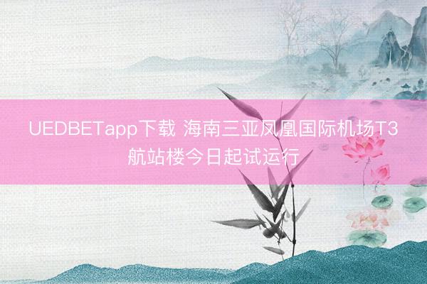 UEDBETapp下载 海南三亚凤凰国际机场T3航站楼今日起试运行