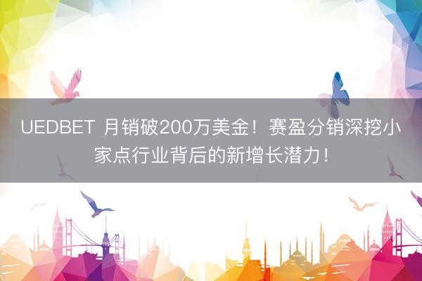 UEDBET 月销破200万美金！赛盈分销深挖小家点行业背后的新增长潜力！