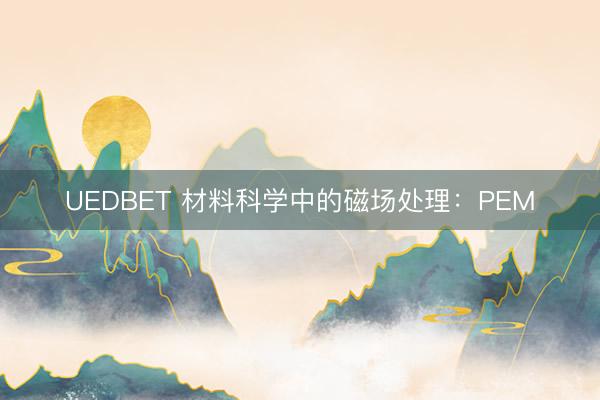 UEDBET 材料科学中的磁场处理：PEM