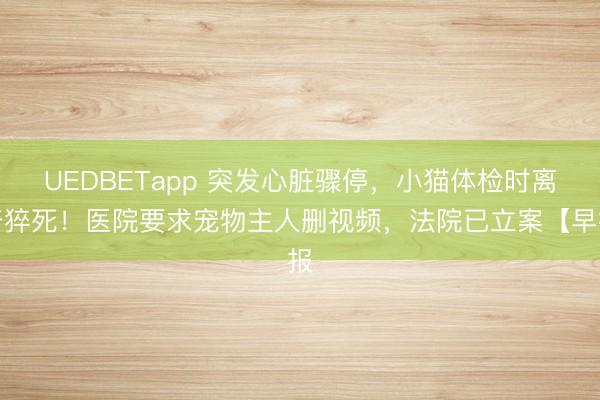UEDBETapp 突发心脏骤停，小猫体检时离奇猝死！医院要求宠物主人删视频，<a href=