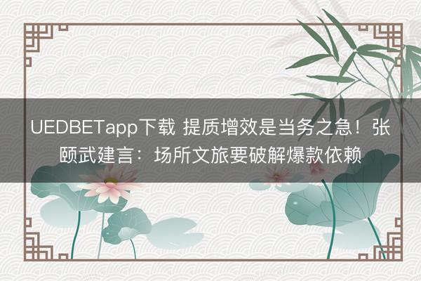 UEDBETapp下载 提质增效是当务之急!张颐武建言:场所文旅要破解爆款依赖