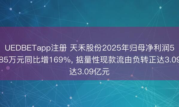 UEDBETapp注册 天禾股份2025年归母净利润5981.85万元同比增169%， 掂量性现款流由负转正达3.09亿元