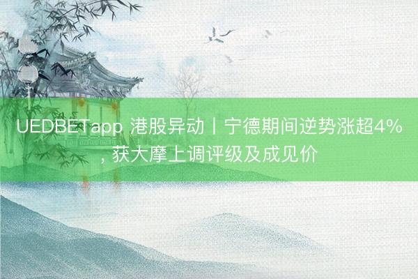 UEDBETapp 港股异动丨宁德期间逆势涨超4%， 获大摩上调评级及成见价
