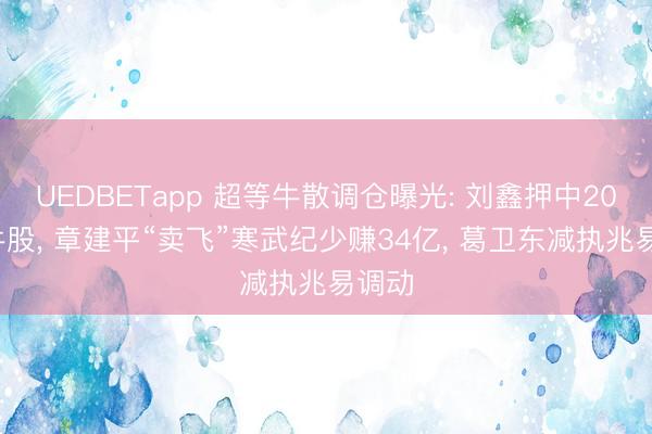 UEDBETapp 超等牛散调仓曝光: 刘鑫押中200%牛股， 章建平“卖飞”寒武纪少赚34亿， 葛卫东减执兆易调动